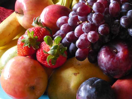 Fruits